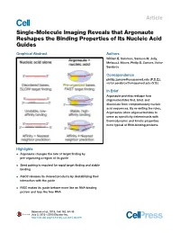 Single-Molecule Imaging Reveals That Argonaute Reshapes the Binding Properties of Its Nucleic Acid Guides