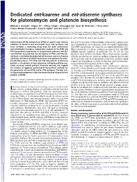 Dedicated Ent-Kaurene and Ent-Atiserene Synthases for Platensimycin and Platencin Biosynthesis
