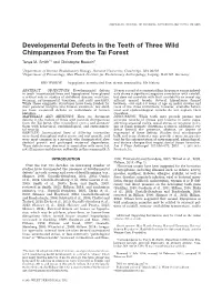 Developmental Defects in the Teeth of Three Wild Chimpanzees from the Ta€I Forest