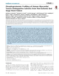 Phosphoproteomic Profiling of Human Myocardial Tissues Distinguishes Ischemic from Non-Ischemic End Stage Heart Failure