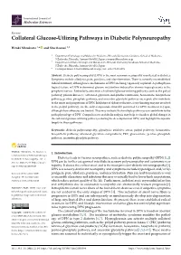 Collateral Glucose-Utlizing Pathwaya in Diabetic Polyneuropathy