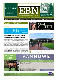 Ebn European Bloodstock News