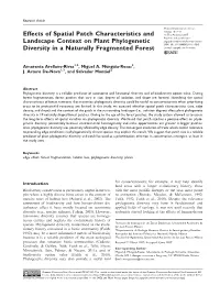 Effects of Spatial Patch Characteristics and Landscape Context on Plant Phylogenetic Diversity in a Naturally Fragmented Forest