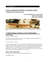 Listrura Camposae (A Catfish, No Common Name) Ecological Risk Screening Summary