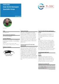 2019 New World Marsupial SG Report