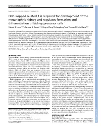 Odd-Skipped Related 1 Is Required for Development of the Metanephric Kidney and Regulates Formation and Differentiation of Kidne