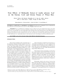 Toxic Effects of Methanolic Extract of Aspilia Africana Leaf on the Estrous Cycle and Uterine Tissues of Wistar Rats