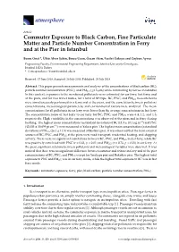 Commuter Exposure to Black Carbon, Fine Particulate Matter and Particle Number Concentration in Ferry and at the Pier in Istanbul