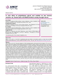 In Vitro Effect of Polyethylene Glycol and Sorbitol on Two Banana Varieties Viz