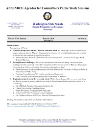 Report Appendix