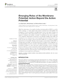 Emerging Roles of the Membrane Potential: Action Beyond the Action Potential