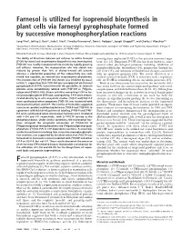 Farnesol Is Utilized for Isoprenoid Biosynthesis in Plant Cells Via Farnesyl Pyrophosphate Formed by Successive Monophosphorylation Reactions