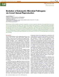 Evolution of Eukaryotic Microbial Pathogens Via Covert Sexual Reproduction