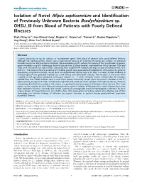 Isolation of Novel Afipia Septicemium and Identification of Previously Unknown Bacteria Bradyrhizobium Sp