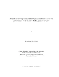 Thesis Template
