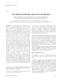 Cell Adhesion Molecules and in Vitro Fertilization