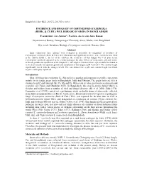Incidence and Biology of Corynespora Cassiicola (Berk