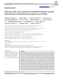 Selection, Drift, and Constraint in Cypridinid Luciferases and the Diversification of Bioluminescent Signals in Sea Fireflies