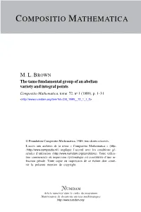 The Tame Fundamental Group of an Abelian Variety and Integral Points Compositio Mathematica, Tome 72, No 1 (1989), P