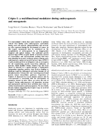 Cripto-1: a Multifunctional Modulator During Embryogenesis and Oncogenesis