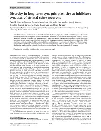 Diversity in Long-Term Synaptic Plasticity at Inhibitory Synapses of Striatal Spiny Neurons Pavel E