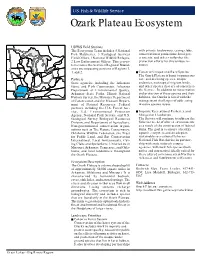 Ozark Plateau Ecosystem