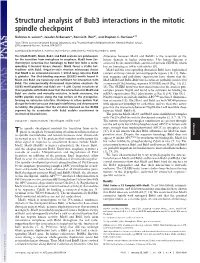 Structural Analysis of Bub3 Interactions in the Mitotic Spindle Checkpoint