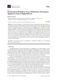 Synchrotron Radiation X-Ray Diffraction Techniques Applied to Insect Flight Muscle
