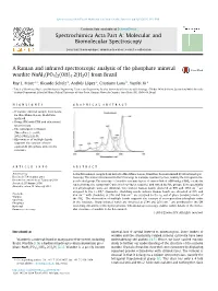 A Raman and Infrared Spectroscopic Analysis of the Phosphate Mineral