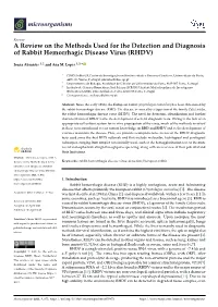 A Review on the Methods Used for the Detection and Diagnosis of Rabbit Hemorrhagic Disease Virus (RHDV)