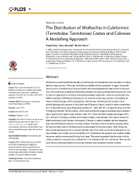Termitidae, Termitinae) Castes and Colonies: a Modelling Approach
