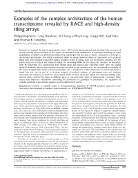 Examples of the Complex Architecture of the Human Transcriptome Revealed by RACE and High-Density Tiling Arrays