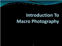 Introduction to Macro Photography