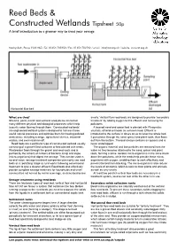 Reed Beds & Constructed Wetlands Tipsheet