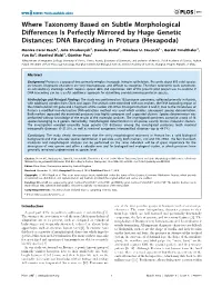 Where Taxonomy Based on Subtle Morphological Differences Is Perfectly Mirrored by Huge Genetic Distances: DNA Barcoding in Protura (Hexapoda)