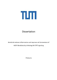 Dissertation