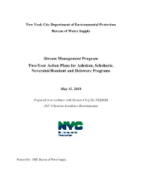 Stream Management Program Two-Year Action Plans for Ashokan, Schoharie, Neversink/Rondout and Delaware Programs
