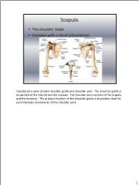 Considered a Bone of Both Shoulder Girdle and Shoulder Joint. the Shoulder Girdle Is Comprised of the Clavicle and the Scapula