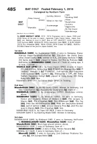BAY COLT Foaled February 1, 2016