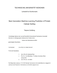 Next Generation Machine Learning Prediction of Protein Cellular Sorting
