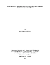 University of Florida Thesis Or Dissertation Formatting