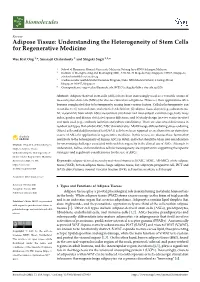 Adipose Tissue: Understanding the Heterogeneity of Stem Cells for Regenerative Medicine