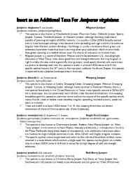 C:\Mike's Documents\Book\Thirdedition\Temp