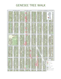 Genesee Tree Walk