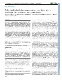Cell Delamination in the Mesencephalic Neural Fold and Its