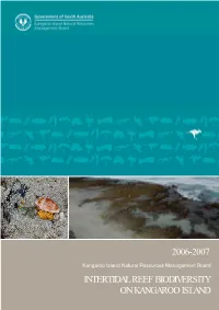 2006-2007 Intertidal Reef Biodiversity on Kangaroo