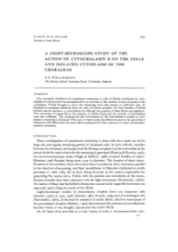 A Light-Microscope Study of the Action of Cytochalasin B on the Cells and Isolated Cytoplasm of the Characeae