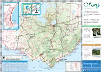 From Walking Trails to Hidden Forest Retreats, the Otways Is a Place For