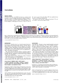 Identification of a Μ-Δ Opioid Receptor Heteromer-Biased Agonist With