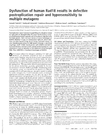 Dysfunction of Human Rad18 Results in Defective Postreplication Repair and Hypersensitivity to Multiple Mutagens
